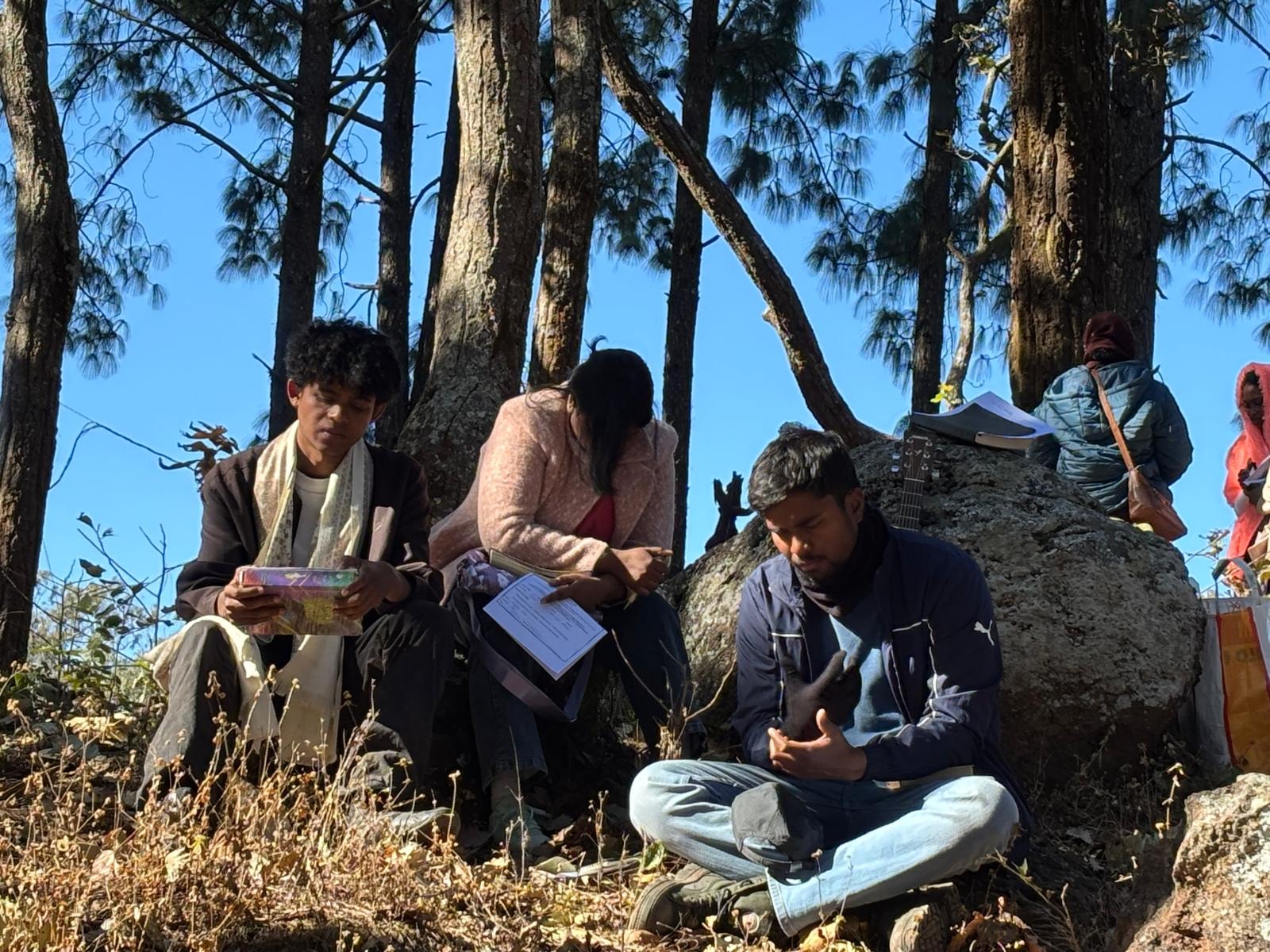 People studying outdoors in the forest